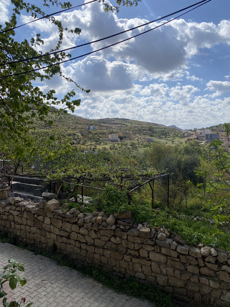 Şu manzaraya karşı baharda her okul dönüşünde ailemle çay saati yapmayı özledim  🫶🏻🌸