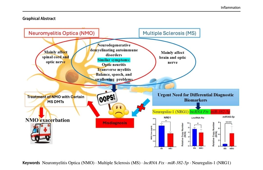 Our latest publication in "Inflammation" is now online. The Inflammatory Axis of LncRNA Ftx/miR‑382‑5p/NRG1 in the Differential Diagnosis and Prognosis of Multiple Sclerosis and Neuromyelitis Optica.
link.springer.com/article/10.100…