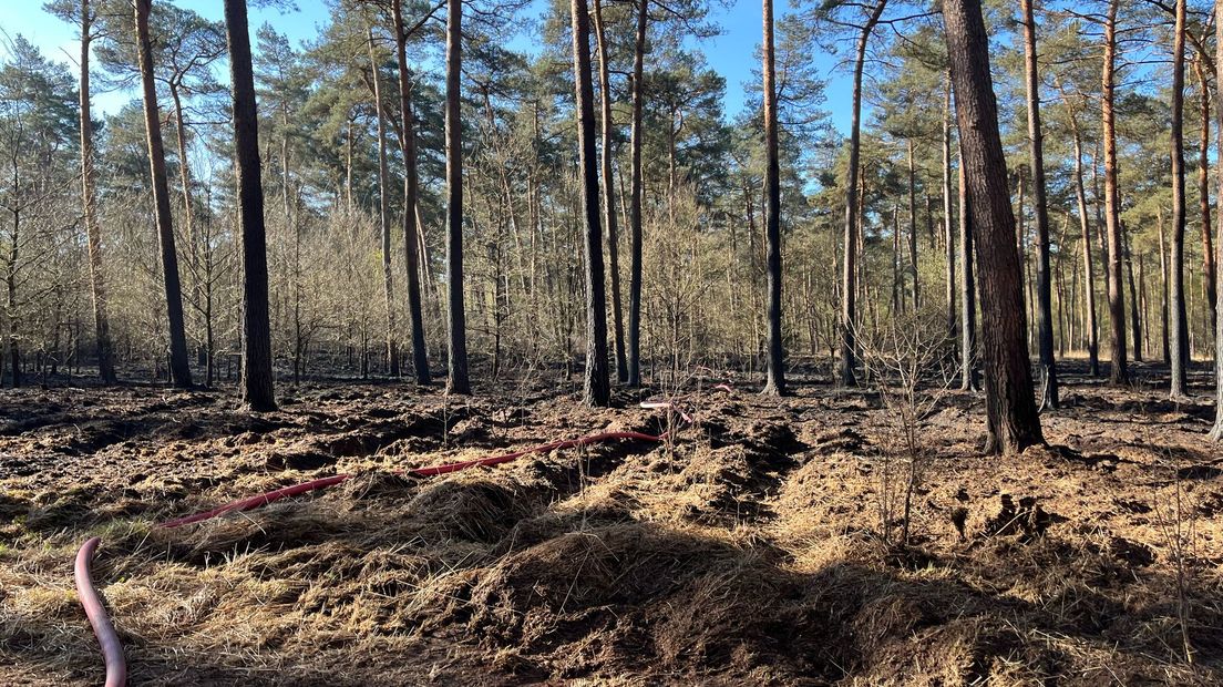 Brandweer gehele dag aanwezig in De Meinweg na brand