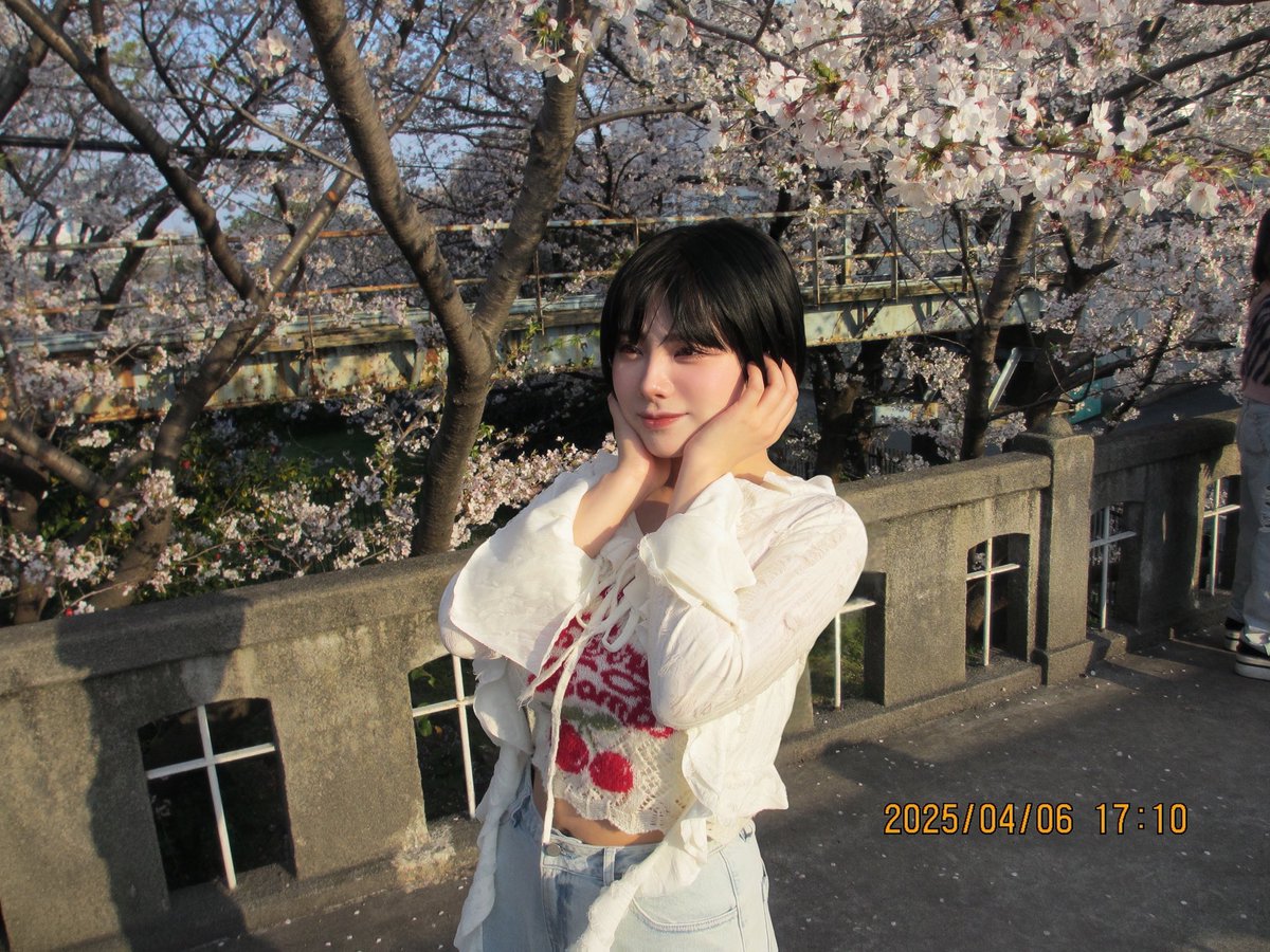 Post by かさだまゆ on X: 🍒🌸