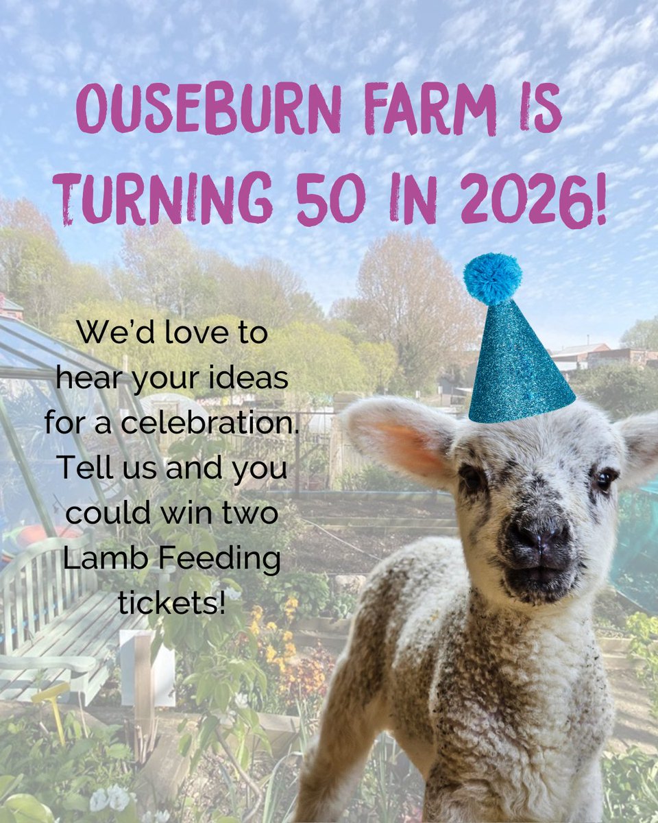 Can you believe Ouseburn Farm will turn 50 next year?!🎈We’re in the early stages of planning and would love your thoughts on how we should celebrate. Fill in our short survey and you could win 2 Lamb Feeding tickets: shorturl.at/LHrIg