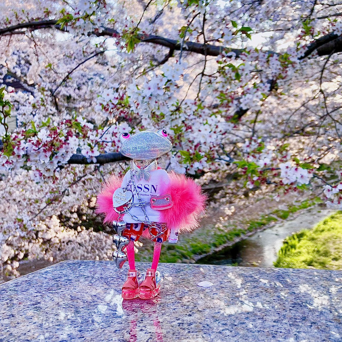 mincbekkan's tweet photo. 通勤途中に桜の見納めかなーとパシャリ📸

#ワンダーフロッグ #wanderfrog https://t.co/RLtuzA7rZf