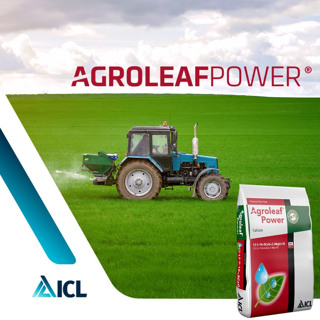 Boost Your Crops with ICL Agroleaf Power! 🌱  

✅ Quick nutrient uptake for healthier, greener plants 
✅ Stress relief during challenging conditions 
✅ Improved yields and quality 
✅ Tailored formulas for specific growth stages 

Find out more &gt;&gt;  loom.ly/kpOcE4U