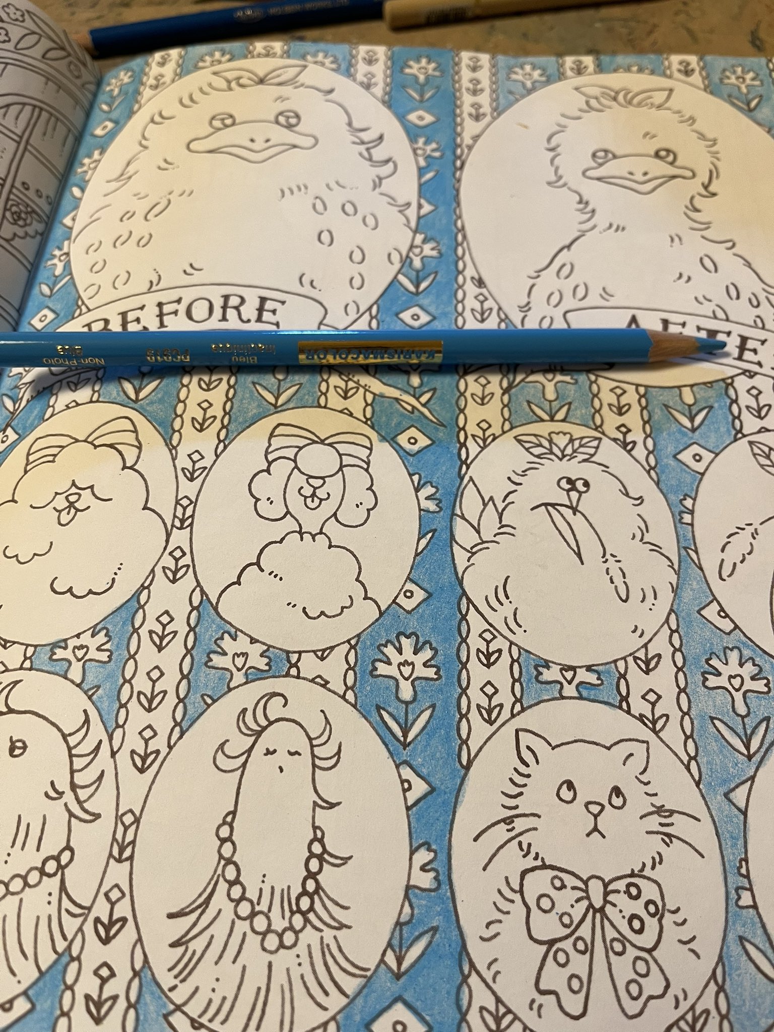 しーちゃん様☆確認用