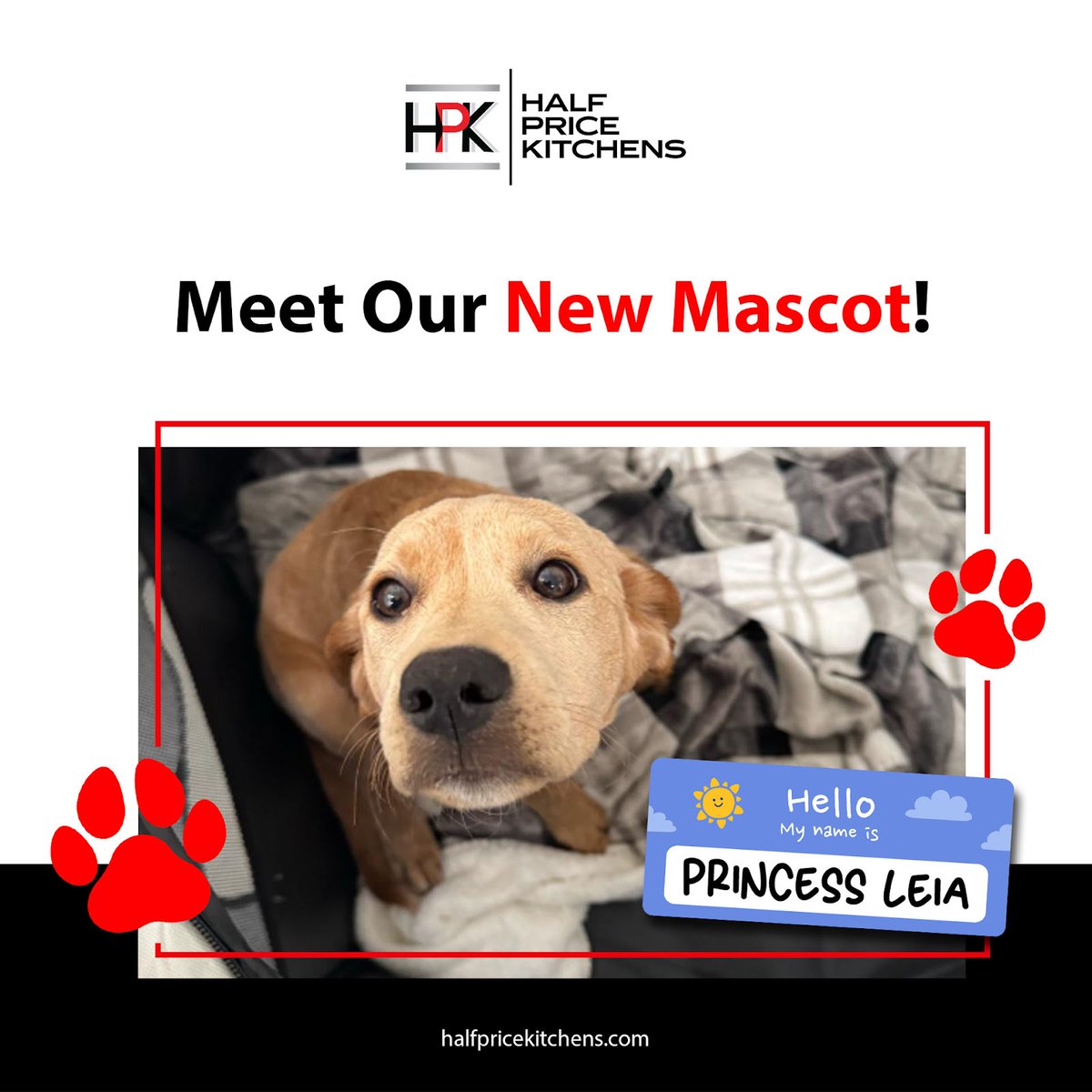 HPKFlorida's tweet photo. 🐶 Meet Our New Mascot, Leia! 🐶

Bringing you tail-wagging deals on dream kitchens! 🏡✨ Our new furry friend is here to remind you that upgrading your space can be smooth, fun, and hassle-free.
 
#HalfPriceKitchens #NewMascot #KitchenDeals

https://t.co/acbFhqv81J https://t.co/XmBm2OyRt2