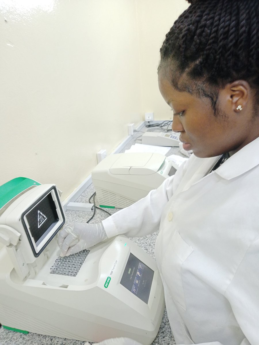 AjayiPonmile's tweet photo. Reflecting on my MSc research on malaria vector control in Igbo-Ora &amp; Idere, Oyo State, studying Anopheles gambiae s.l. after 16 years+ of interventions where I trained at NIMR, Lagos in molecular techniques like PCR, ELISA &amp; Gel Electrophoresis. #MalariaResearch #VectorBiology https://t.co/Ke7E6pnTQR