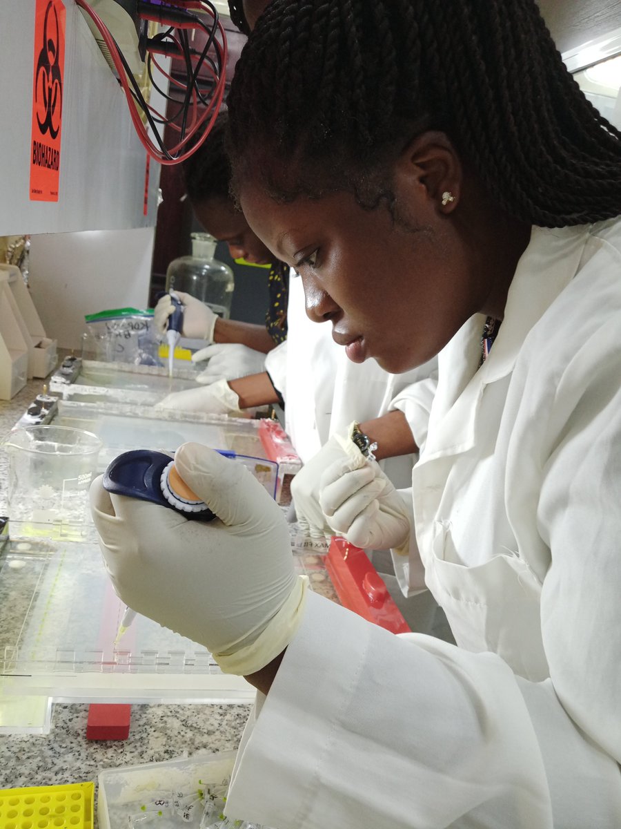 AjayiPonmile's tweet photo. Reflecting on my MSc research on malaria vector control in Igbo-Ora &amp; Idere, Oyo State, studying Anopheles gambiae s.l. after 16 years+ of interventions where I trained at NIMR, Lagos in molecular techniques like PCR, ELISA &amp; Gel Electrophoresis. #MalariaResearch #VectorBiology https://t.co/Ke7E6pnTQR