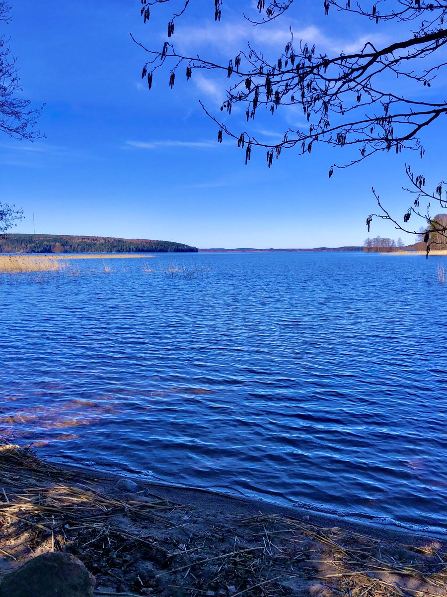 helip_j's tweet photo. Vielä on Vesijärvellä  , Mukkulan rannan poukamassa jää peitettä . Muuten liplattaa aallot järvellä vapaina jäistä ☀️ +6c , aurinkoa hyvin niin näkyvissä . #huhtikuu2025 #april8th #Vesijärvi #Lahti 💙🤍💚🧡 https://t.co/tRLplOAFrr