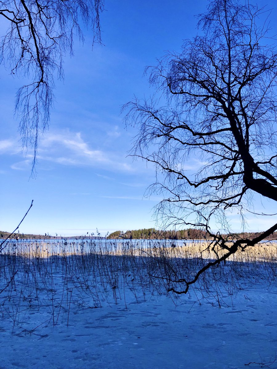 helip_j's tweet photo. Vielä on Vesijärvellä  , Mukkulan rannan poukamassa jää peitettä . Muuten liplattaa aallot järvellä vapaina jäistä ☀️ +6c , aurinkoa hyvin niin näkyvissä . #huhtikuu2025 #april8th #Vesijärvi #Lahti 💙🤍💚🧡 https://t.co/tRLplOAFrr