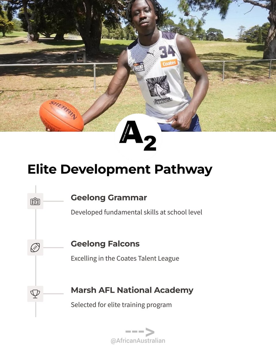 African Australian tweet media