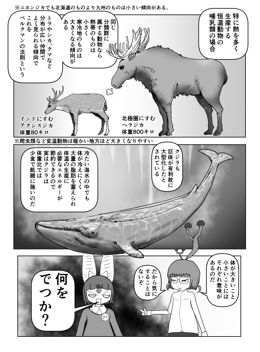 色々と誤解されてそうな動物を漫画で解説していくぞい。
第32回「体の大きさが決めるもの」2/2 #クック先生の動物講座 #漫画が読めるハッシュタグ #マンガが読めるハッシュタグ 