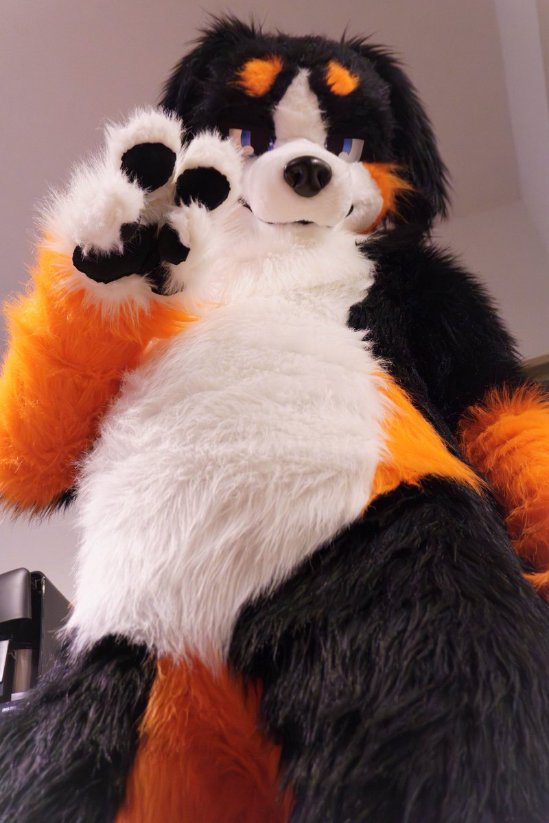 いぬい がみ (@inuninatteosiri) on X