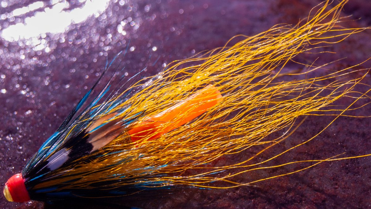 CustomTiedFlies's tweet photo. Trust the old school — never fails.
Luxury Fishing Casting Guiding in Scotland 
Tay Cast Fishing - Flyfishing &amp; Guiding SpeyArms FlyFishing Co.
#speyarmsflyfishing #taycastfishing #salmon #guiding #dtx #FX1 #FX2 #mackenzieflyfishing #LuckyHand #scotland #customtiedflies https://t.co/HlRciqJfwc