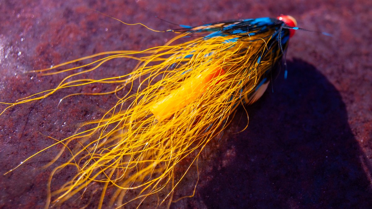 CustomTiedFlies's tweet photo. Trust the old school — never fails.
Luxury Fishing Casting Guiding in Scotland 
Tay Cast Fishing - Flyfishing &amp; Guiding SpeyArms FlyFishing Co.
#speyarmsflyfishing #taycastfishing #salmon #guiding #dtx #FX1 #FX2 #mackenzieflyfishing #LuckyHand #scotland #customtiedflies https://t.co/HlRciqJfwc