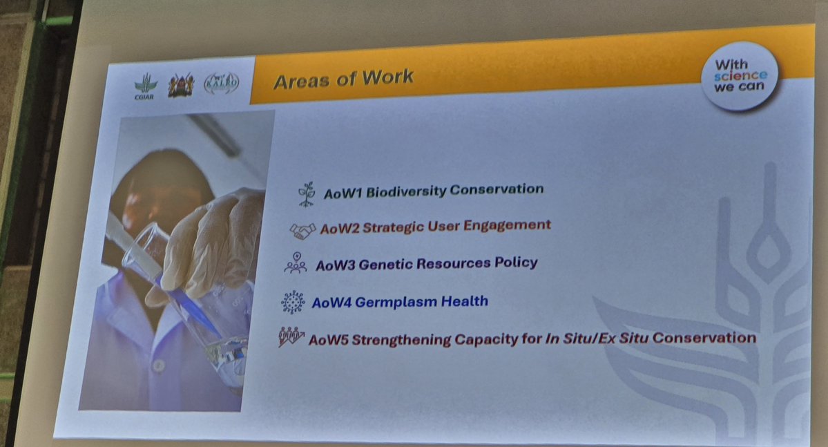 Leroy Mwanzia (@lmwanzia) on Twitter photo (1/5) At #CGIARScienceWeek's Genebank Accelerator Strategy Dialogue, <a href="/VaniaRenAzevedo/">Vรขnia Azevedo</a> the Interim Accelerator Director, outlined five key Areas of Work for global biodiversity conservation. Digital innovation runs through each initiative! #DigitalTransformation #Genebanks (1/5) At #CGIARScienceWeek's Genebank Accelerator Strategy Dialogue, <a href="/VaniaRenAzevedo/">Vรขnia Azevedo</a> the Interim Accelerator Director, outlined five key Areas of Work for global biodiversity conservation. Digital innovation runs through each initiative! #DigitalTransformation #Genebanks