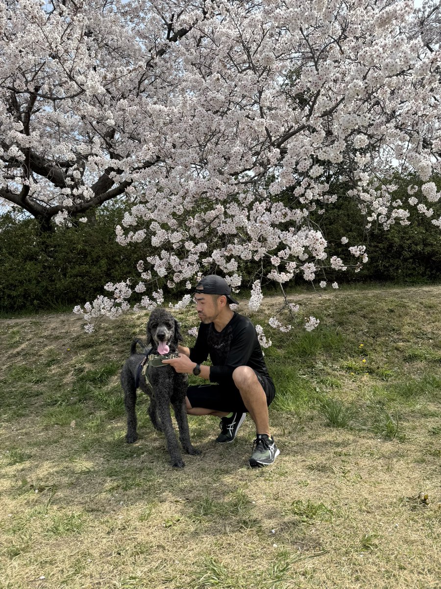 tomozo_running's tweet photo. 🌸ラン16kmからの🌸散歩 https://t.co/nUfCnMzho1