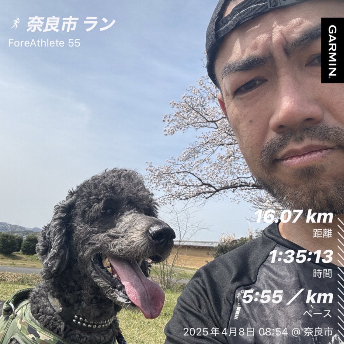 tomozo_running's tweet photo. 🌸ラン16kmからの🌸散歩 https://t.co/nUfCnMzho1