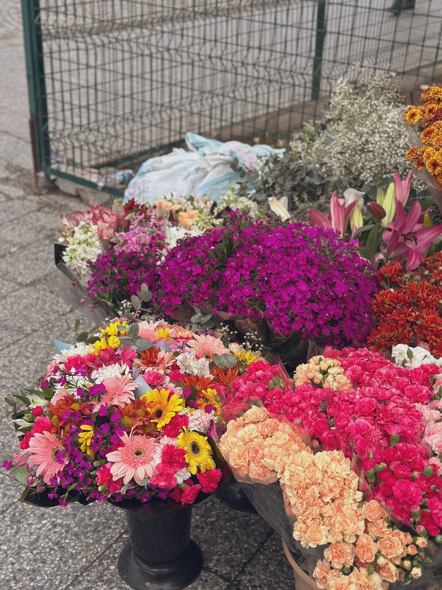 | Bir ağacı büyütüyorum her yerimle. 
Bir ağacı uyguluyorum
- her şey bir ağaç düzeninde -
Yerde gökte ve her yerde
Dallarında ben ağacın incecik köklerinde 
Boğuluyorum - bağlanıyorum -