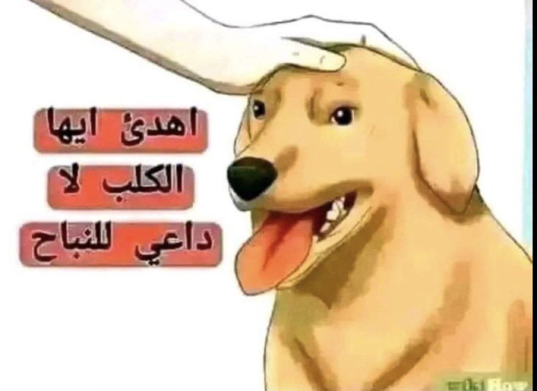 sa77_i7's tweet photo. @gorgeous4ew لاتزعل بس انت قلت بدون غشش https://t.co/LnwLsoUTM7
