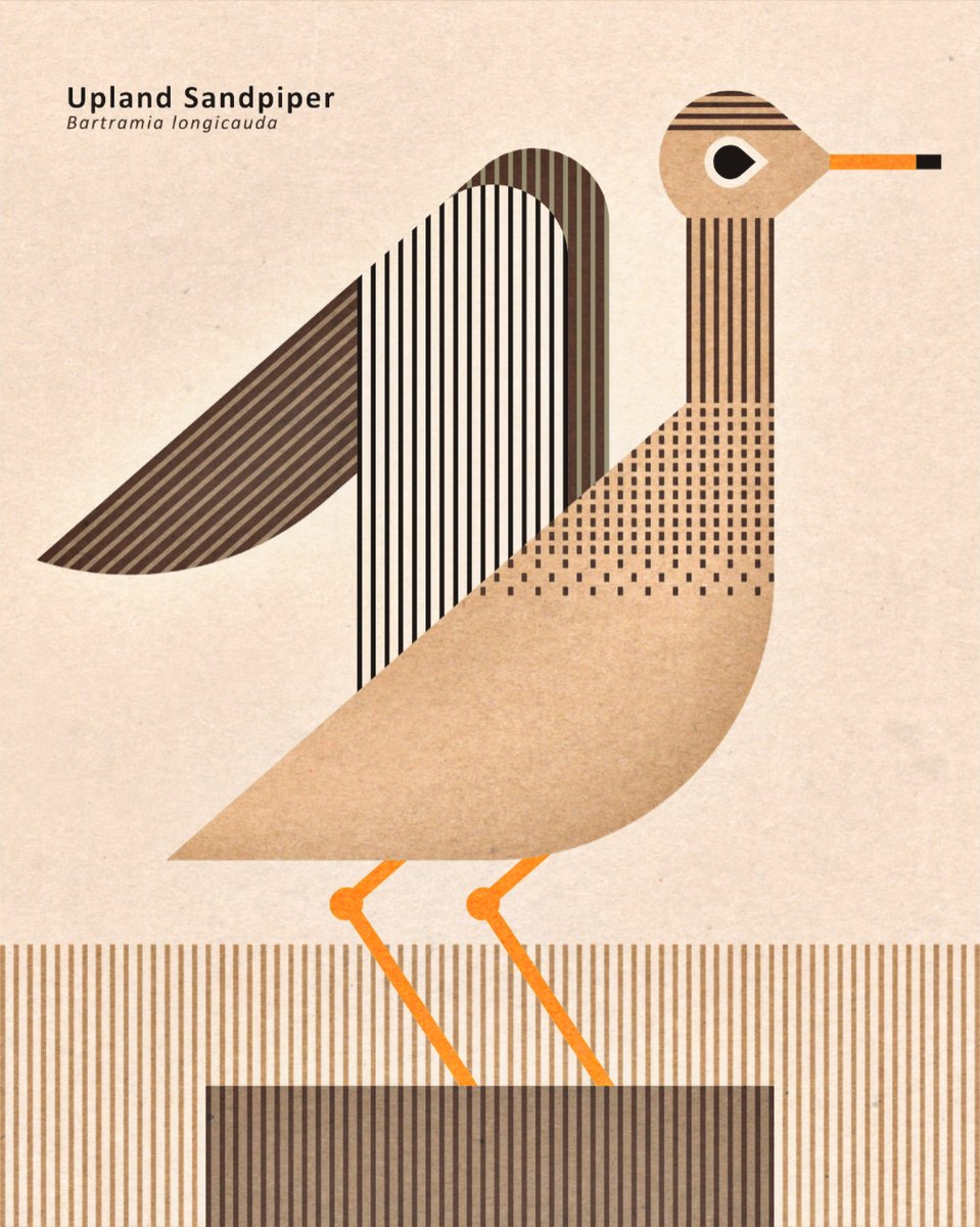 BirdsCaribbean's tweet photo. ๐ถ Since 2014, #BirdsongProject has combined music & activism to protect birds and their habitats. ๐๏ธ
In 2020, they raised $30K+ for conservation efforts. Now, theyโre back and need your support to complete A Guide to the Birdsong Volume 4! ๐ฟ๐ค
๐ https://t.co/yyJLDUZ4SL https://t.co/pKDC6pvcNP