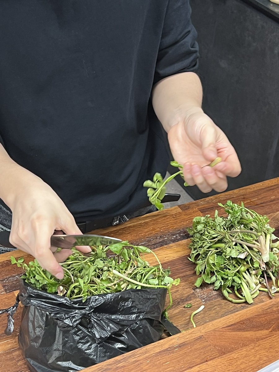 소록🌺 tweet media