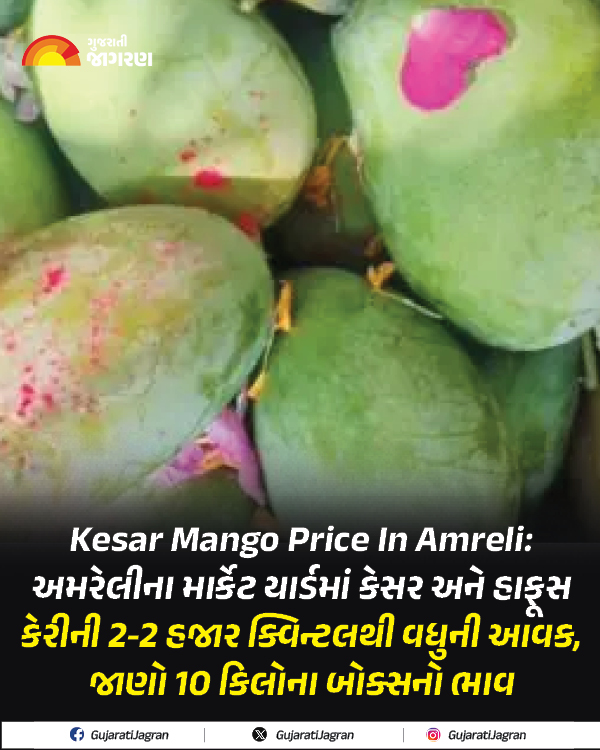 gujaratijagran's tweet image. Kesar Mango Price In Amreli: અમરેલીના માર્કેટ યાર્ડમાં કેસર અને હાફૂસ કેરીની 2-2 હજાર ક્વિન્ટલથી વધુની આવક, જાણો 10 કિલોના બોક્સનો ભાવ

gujaratijagran.com/gujarat/amreli…

#Mangoprice #junagadhnews #amrelinews #amreli #kesarkeri #kesar #kesarmango #Gujarat #GujaratiJagran