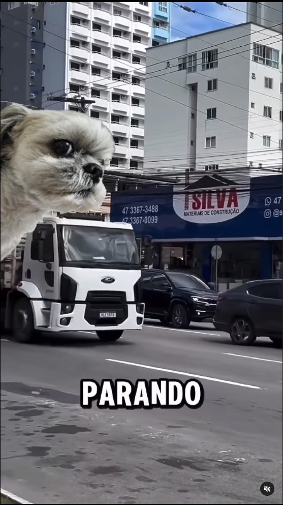 >>>>>> React no instagram
>>>>> React sem react (só o vídeo compartilhado)
>>>> React com apenas sua imagem estática em png
>>> React de cachorro
>> React de cachorro em png

As redes sociais mudam muito rápido mesmo.