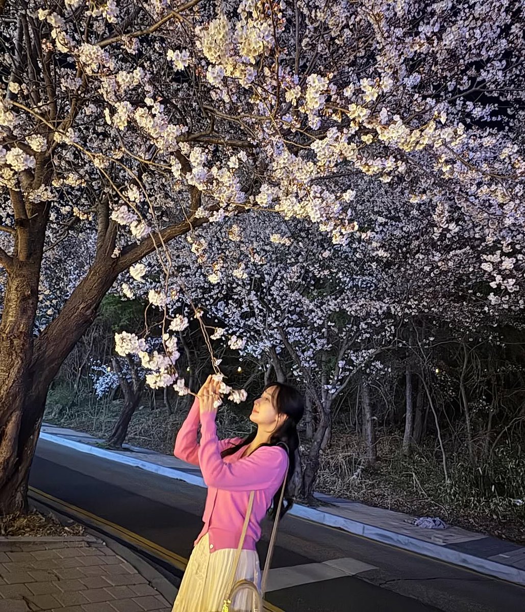 StellarUpdates_'s tweet photo. [250408] Minhee @ juminhee Instagram post update 

🌸🌸

#스텔라 #Stellar #주민희 #JuMinhee #JooMinhee #민희 #Minhee https://t.co/ewds2VB2TD