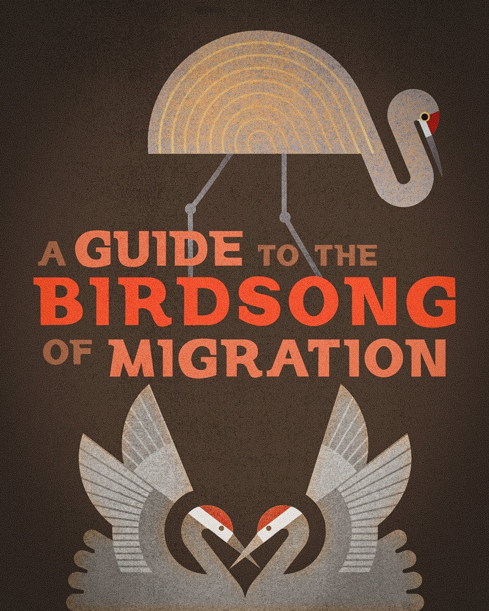 BirdsCaribbean's tweet photo. ๐ถ Since 2014, #BirdsongProject has combined music & activism to protect birds and their habitats. ๐๏ธ
In 2020, they raised $30K+ for conservation efforts. Now, theyโre back and need your support to complete A Guide to the Birdsong Volume 4! ๐ฟ๐ค
๐ https://t.co/yyJLDUZ4SL https://t.co/pKDC6pvcNP
