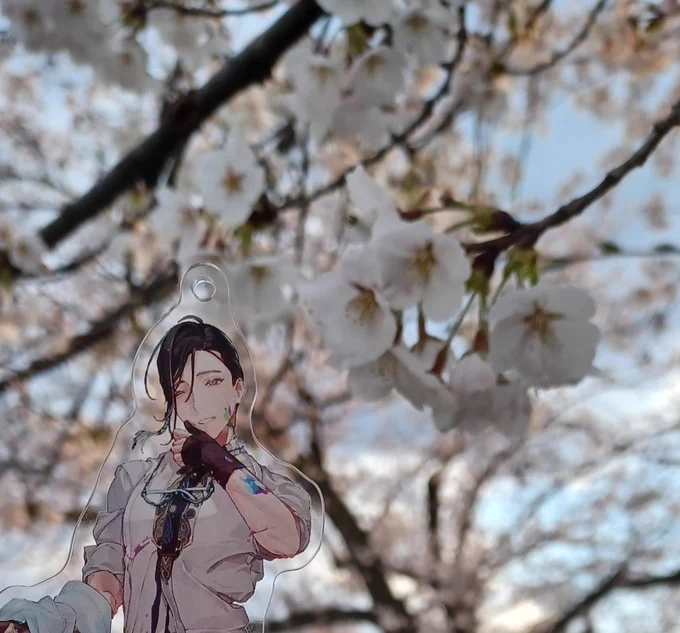 桜、綺麗だったね 山南さん