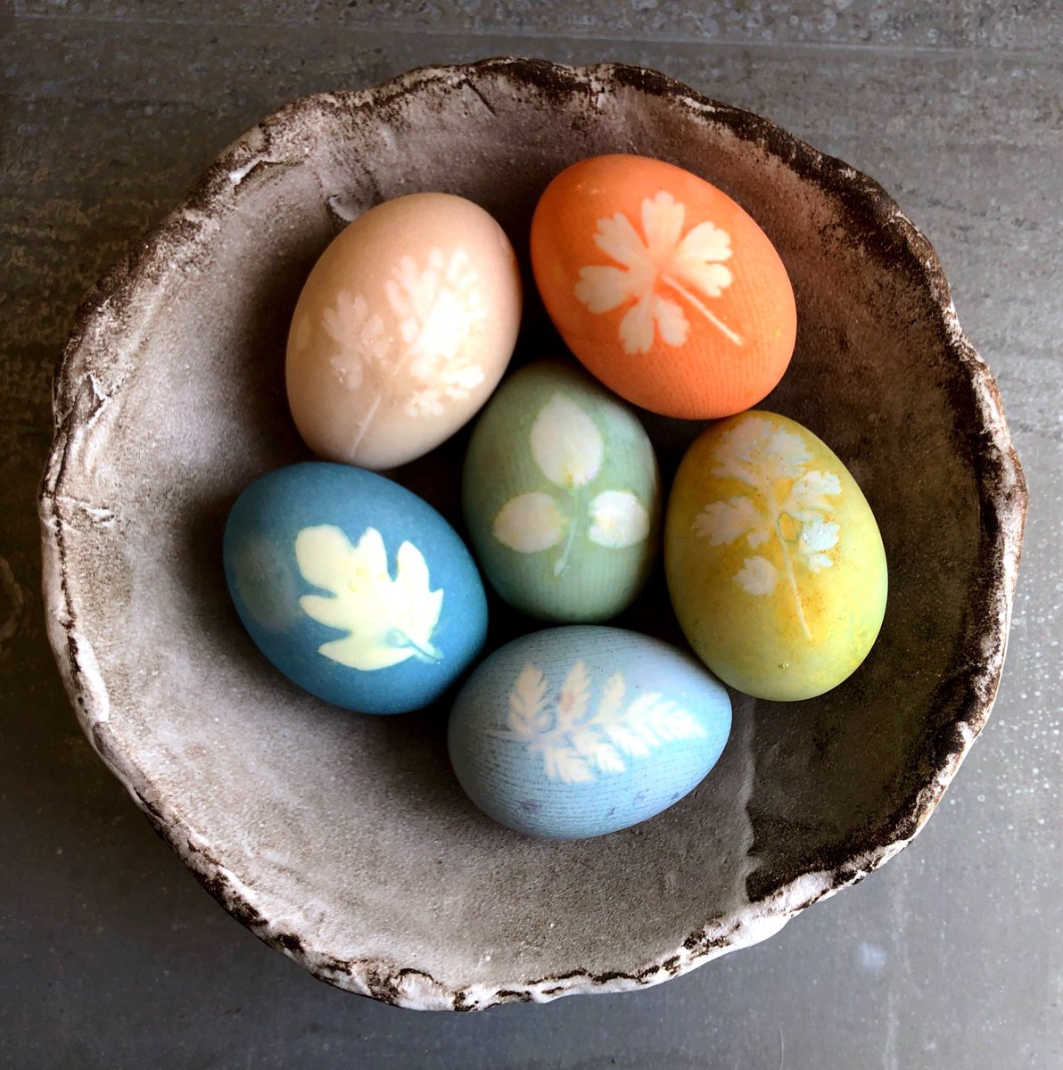 Emma Mitchell 💙 tweet media