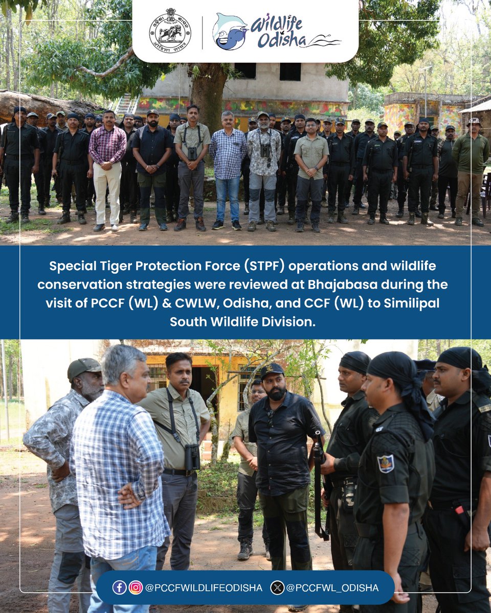 PCCFWL_Odisha's tweet photo. Strengthening Tiger Protection in Similipal 

PCCF (WL) &amp; CWLW, Odisha, Shri @Prem_CWLWOdisha along with CCF (WL), visited Similipal South Wildlife Division to assess conservation efforts. https://t.co/uRystVAhte