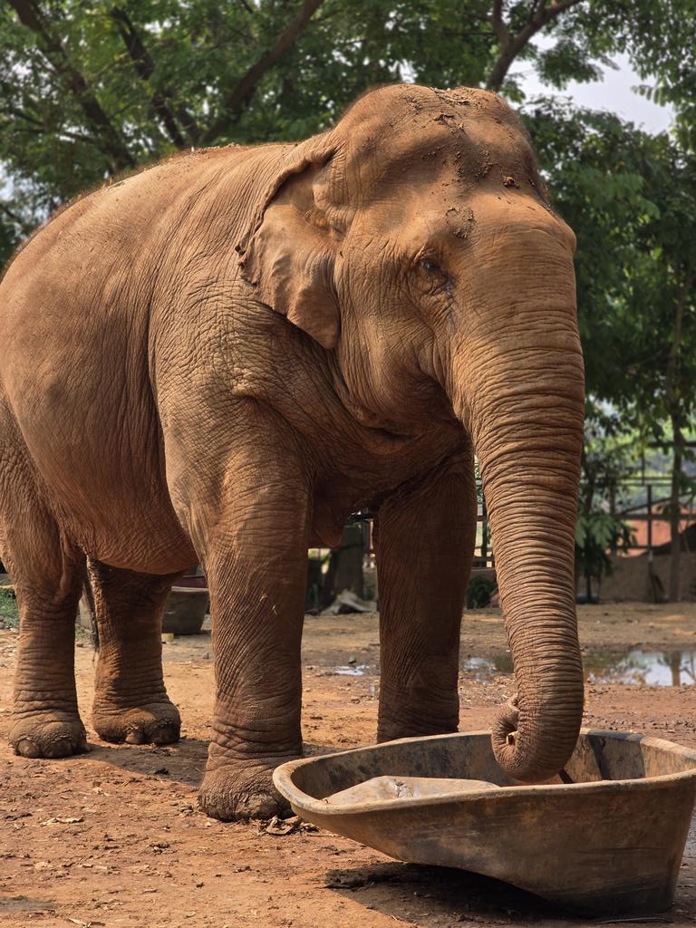 Tailandia 
S25 Ultra 📸