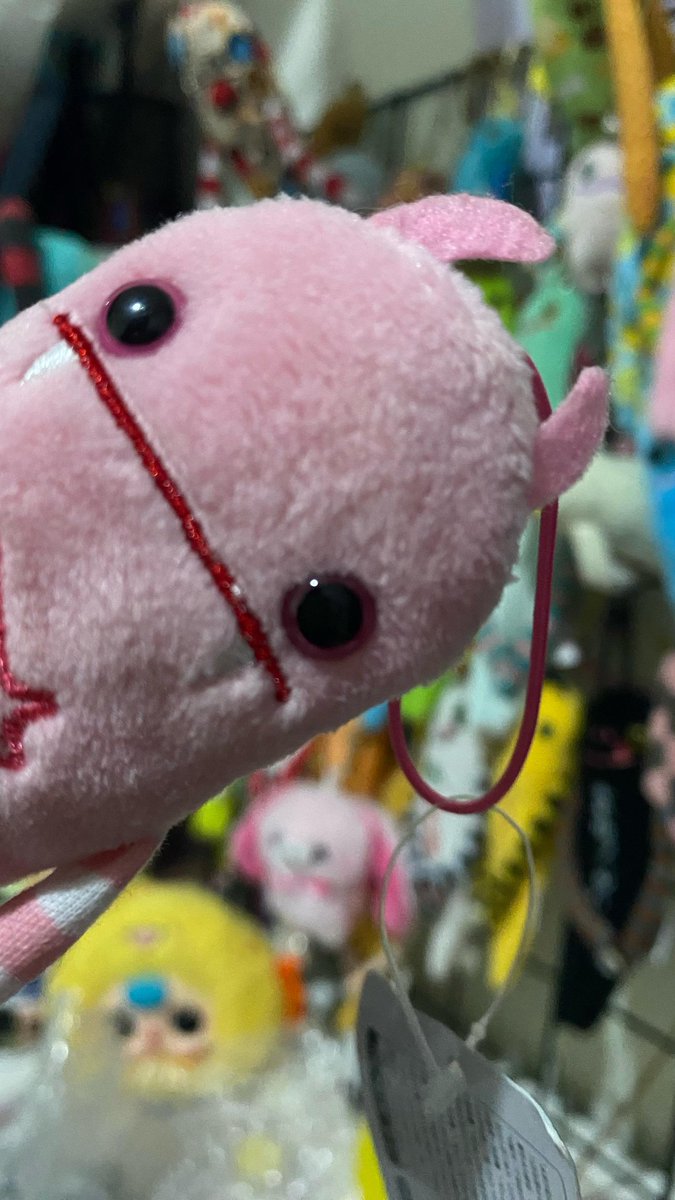 aya 's gallery ♪ tweet media