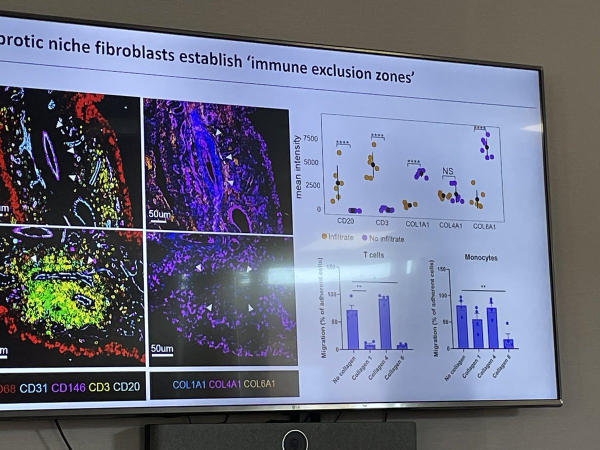 Bibek Gooptu tweet media