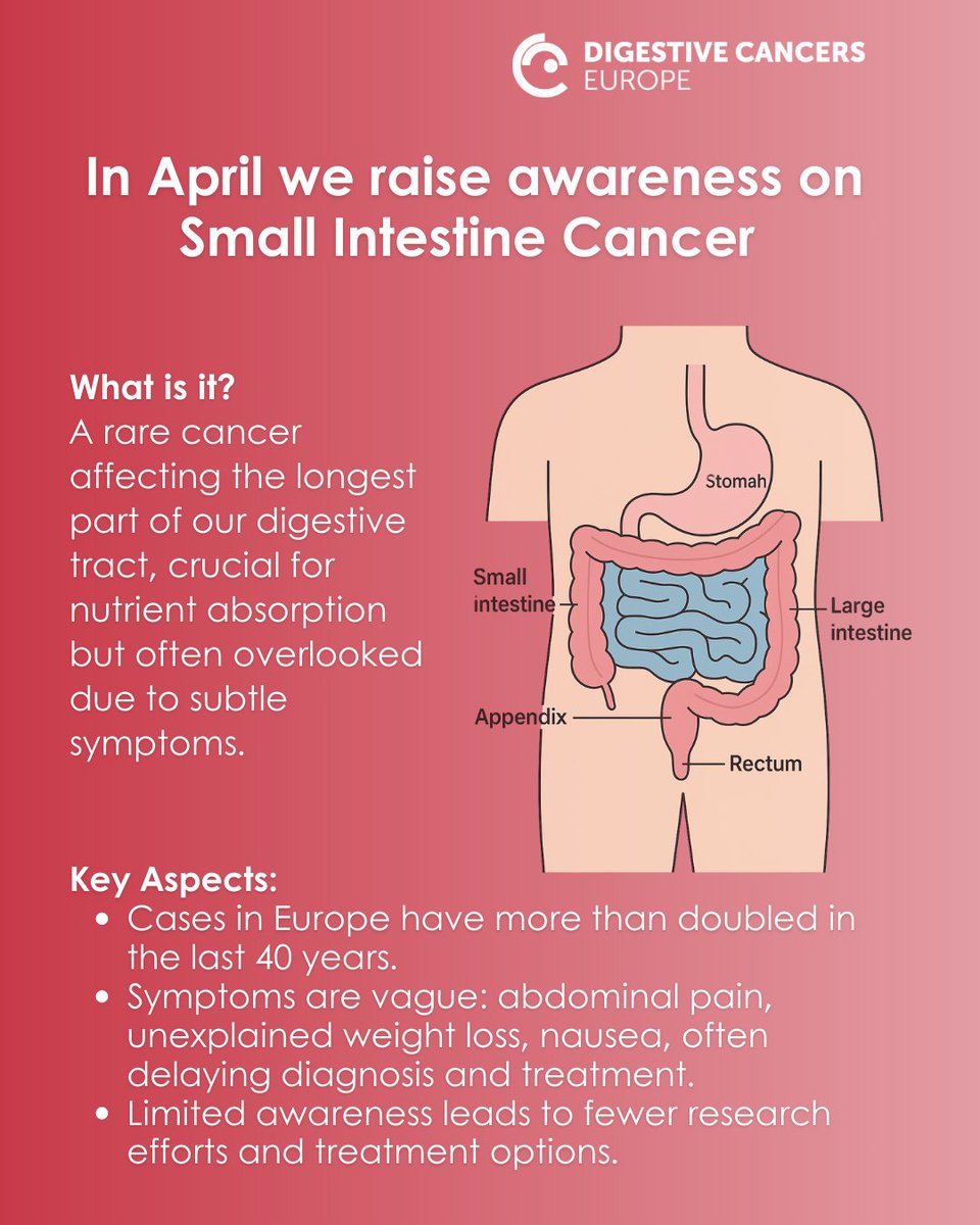 dice_europe's tweet photo. Did you know that small intestine cancer accounts for less than 5% of all gastrointestinal cancers in Europe?
This section of the gut doesn't get much spotlight — and neither do the patients facing it.
#RareCancers #SmallIntestineCancer https://t.co/y5ks9CRteJ