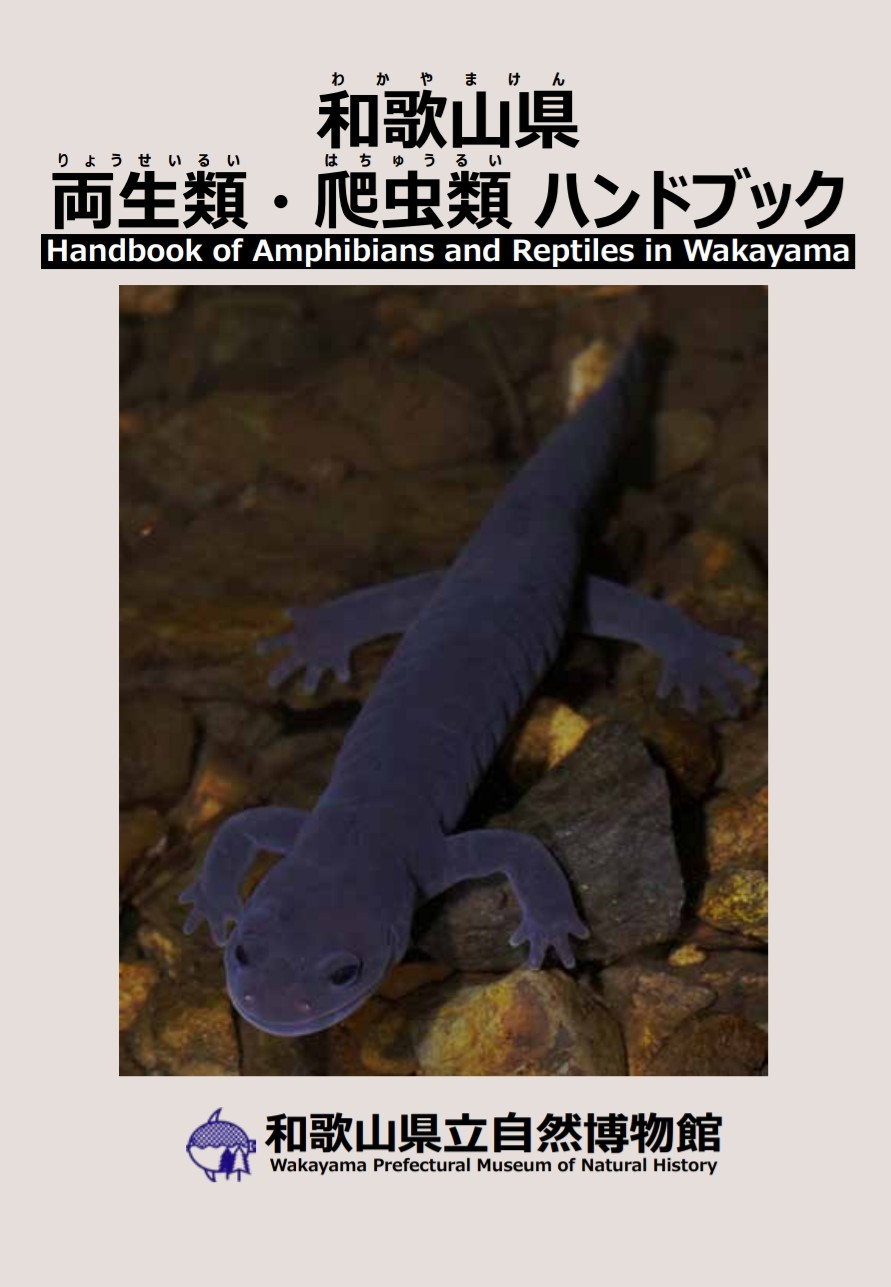 爬虫類医学ハンドブック 動植物関連書籍 ＞ 獣医学書籍 ＞ 爬虫類の獣医学マニュアル