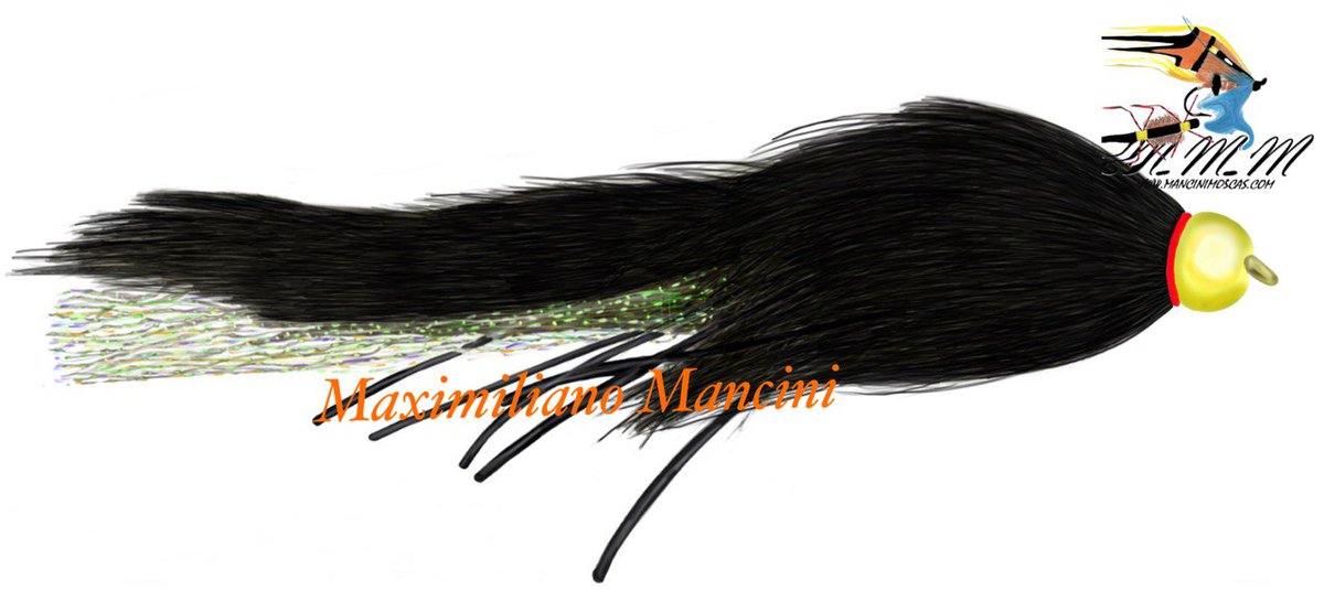 ManciniMaxi's tweet image. 