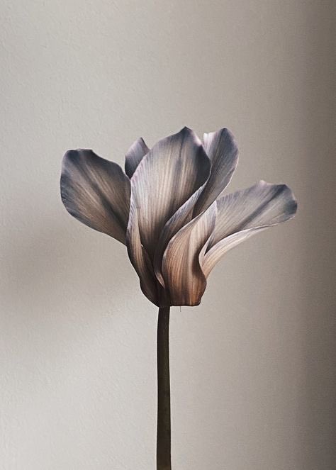 Allany_art 🖤 (@allany_art) on Twitter photo 