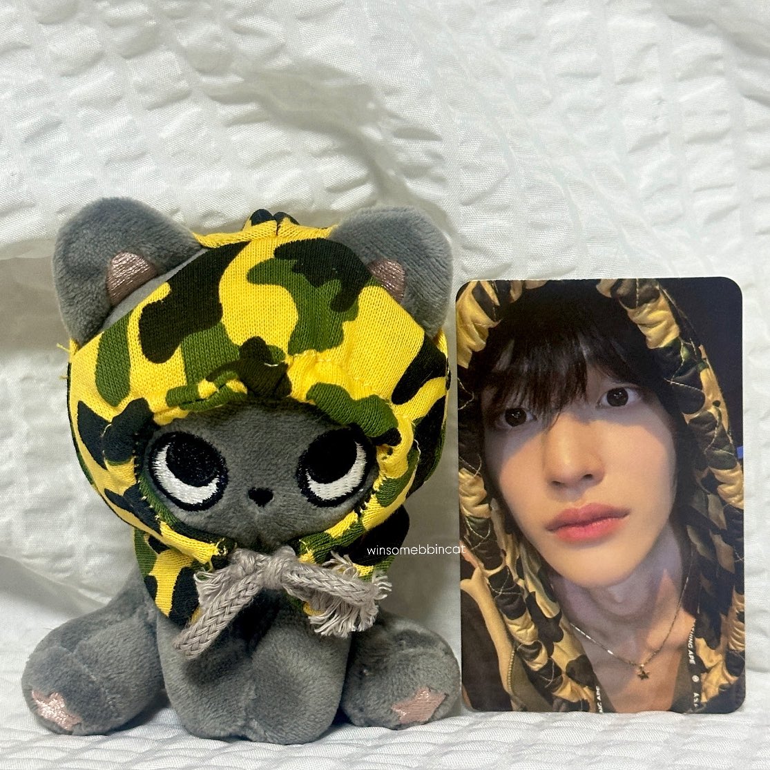 bbin_some's tweet photo. 베이프삔냥이들🐈‍⬛🐈‍⬛-★ https://t.co/oPNZ6B25v3