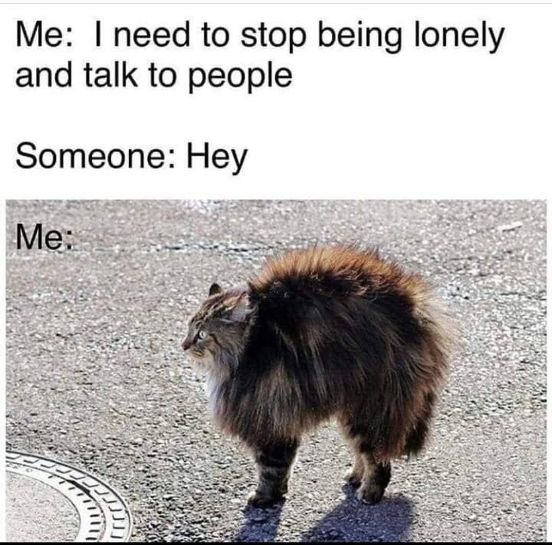 TweetyTea19's tweet image. #introverts