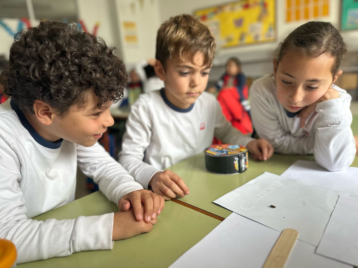 cardenalSPH's tweet photo. 🔍🐞 ¡Pequeños aventureros al descubierto! 🦋🔬 Hoy, nuestros estudiantes de Segundo de Primaria se transformaron en auténticos investigadores al observar insectos directamente durante la clase de Ciencias. 🌿👀 #CienciaDivertida #AprendizajeActivo https://t.co/I2GaH7f7Ee