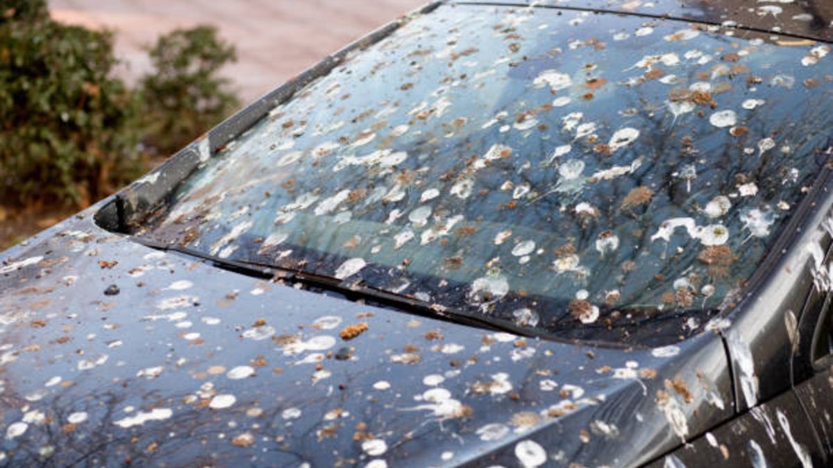 grupocal's tweet image. ¡Buenos días caler@s! Tol día lloviendo y yo que acaba de lavar el coche 😭🤣 ¡Feliz semana caler@s!