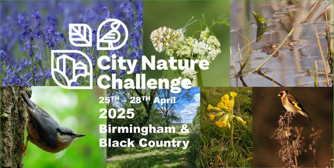 Its a bumper edition of Time 2 Breathe this month! Perfect time to participate in the City Nature Challenge for Birmingham &amp; Black Country, and we are also supporting the National Autistic Society as part of National Autism Acceptance Month 🌿💙 <a href="/DiscoverDudley/">Discover Dudley</a>