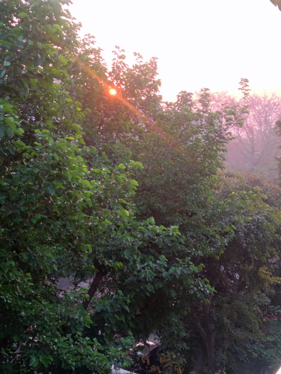 martyn_yuvi's tweet image. Do you have a picture with the sun?

#yuviX
#spamfam