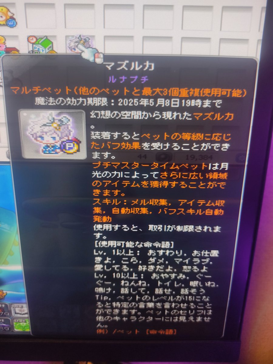 Armament_core's tweet photo. 磁石ペットがどうしても欲しくてメル貯めてたけど、全然貯まる気がしなかったから2年振りくらいにメイプルに課���して、ワンダーベリー15kでぴぃちゃん2匹。
ぴぃちゃん2匹でブルドラに。
オークションでぺんちゃん3.4gで購入して、ブルドラとぺんちゃんでまさかの1発？でマズルカに！？
大勝ちしたよ！ https://t.co/ioyIwszdky