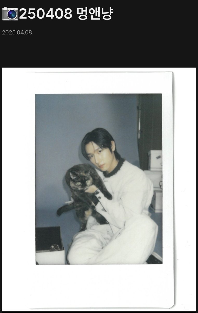 당근케이크 tweet media