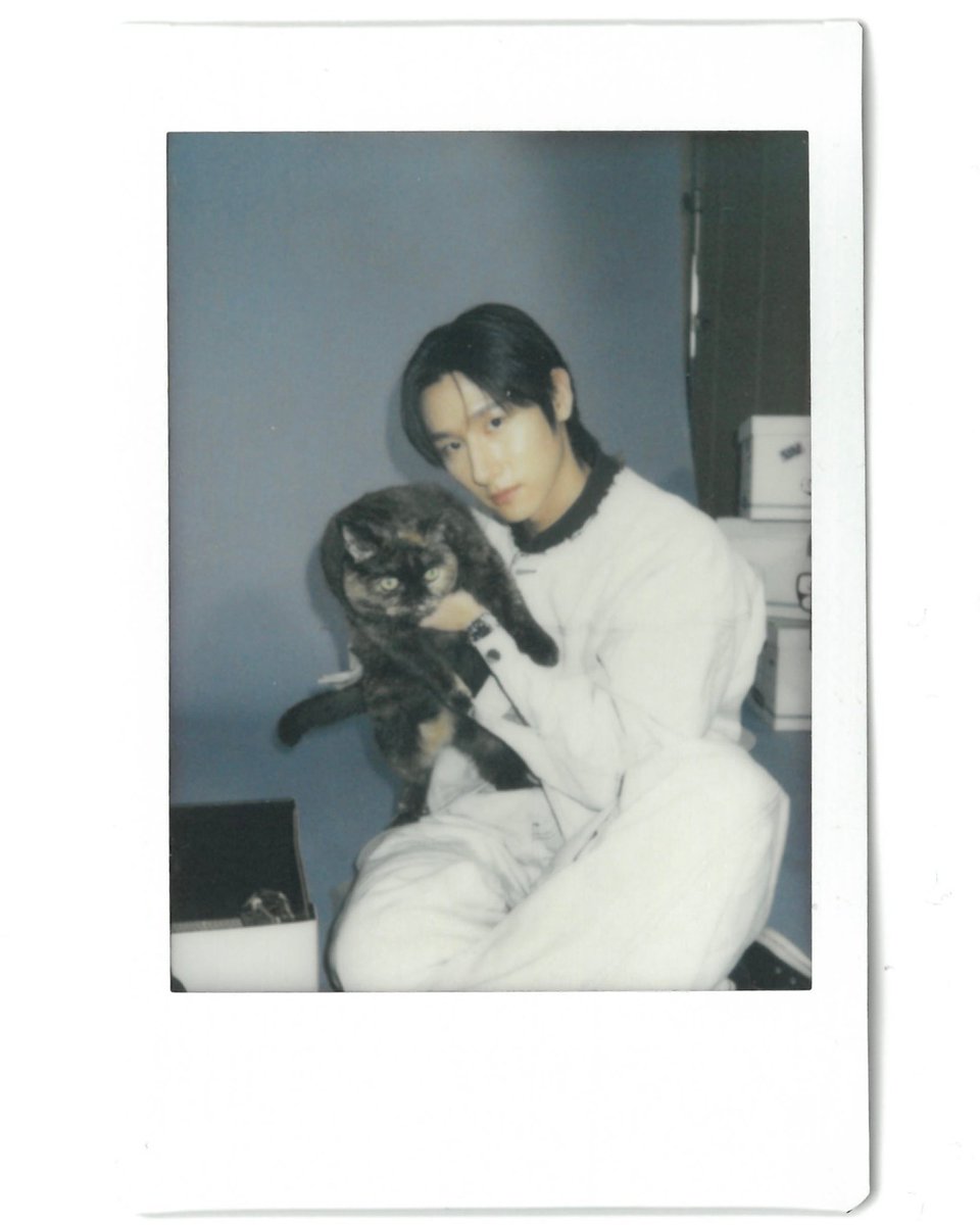 당근케이크 tweet media