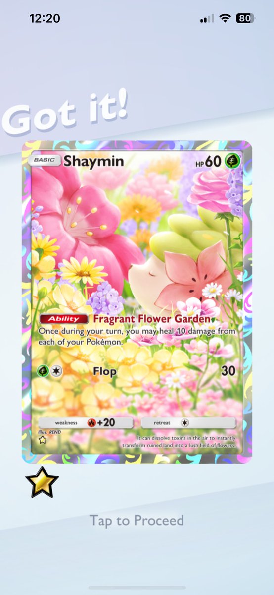 ohgodpickles's tweet photo. mika gave me the shaymin card i wanted and its so cute and pretty ^-^ #HappyBean https://t.co/Muf76d6XmW