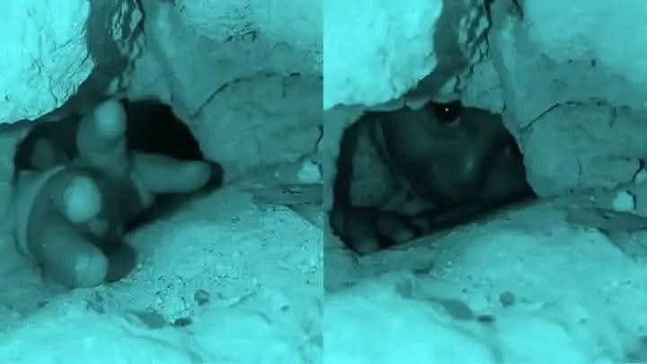 Dünya sessiz ama bu gözler herşeyi anlatıyor....
Yürek dayanmıyor.... Birşey yapamıyoruz.... Hiçbir şey.... İnsanlığımızdan utanır olduk. Allah bizi affetsin. Sonu kötü olanlar onlar değil.... Biliyoruz... Ve bile bile kalbimize yerlestirilen vehnin yani dünya sevgisi ve ölüm 👇